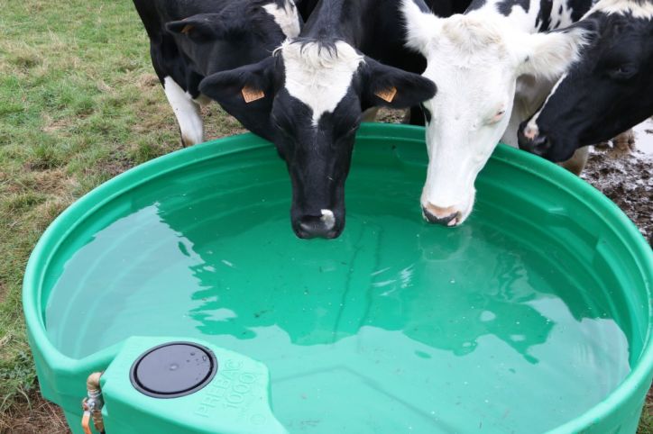 Abreuvoir Flottant En Polyéthylène Pour Chevaux, Bétail - 30x26x20cm - Résistant, Fixation Stable